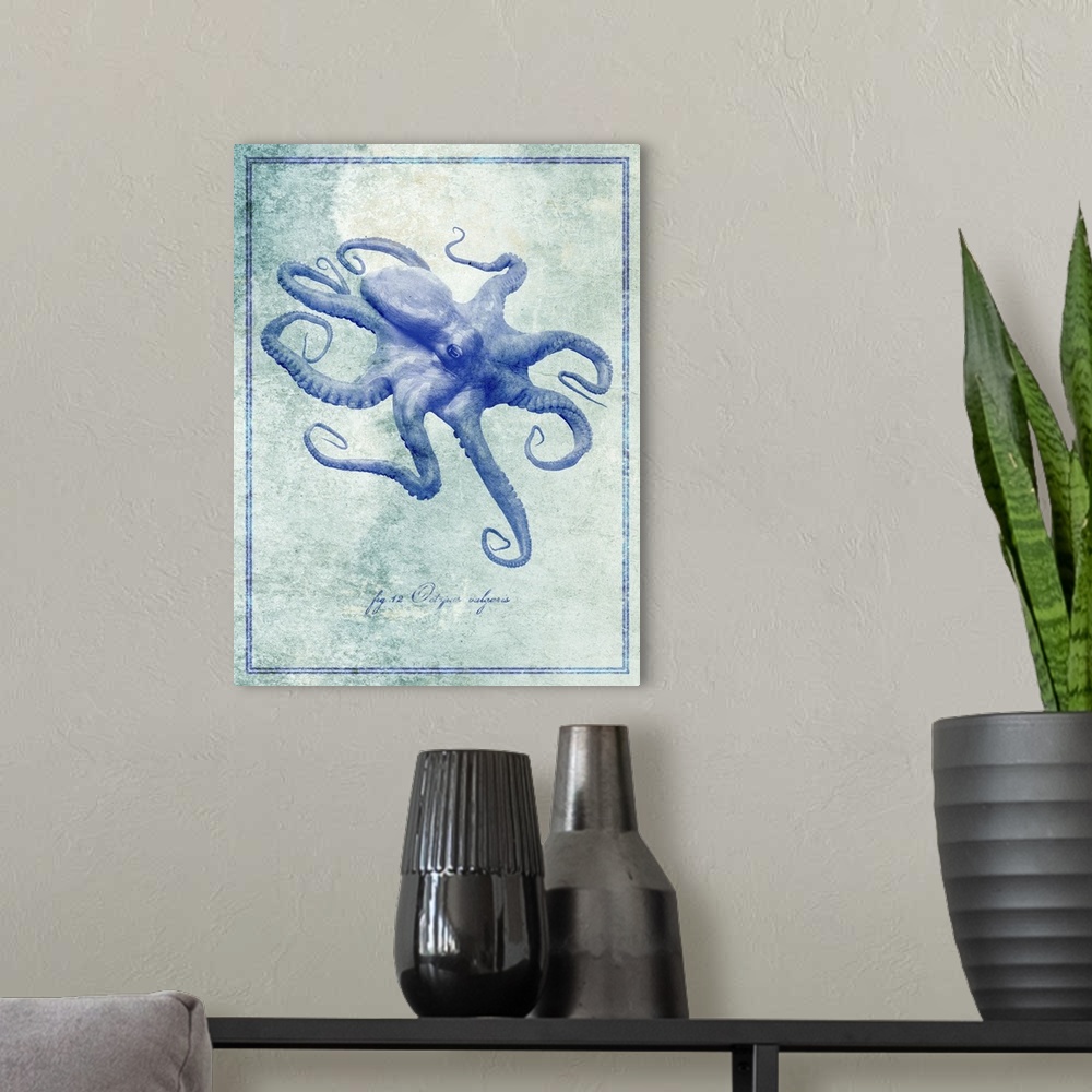 A modern room featuring Octopus II