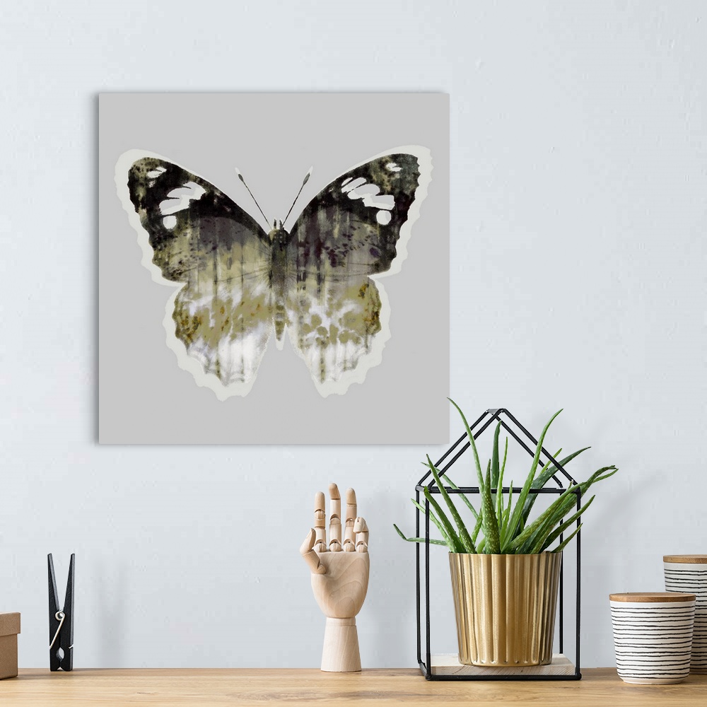 A bohemian room featuring Painted Butterfly 1