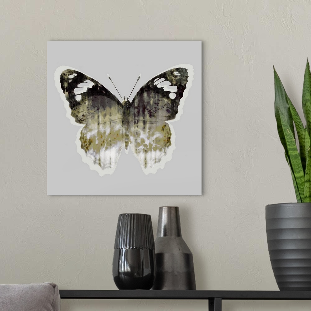 A modern room featuring Painted Butterfly 1