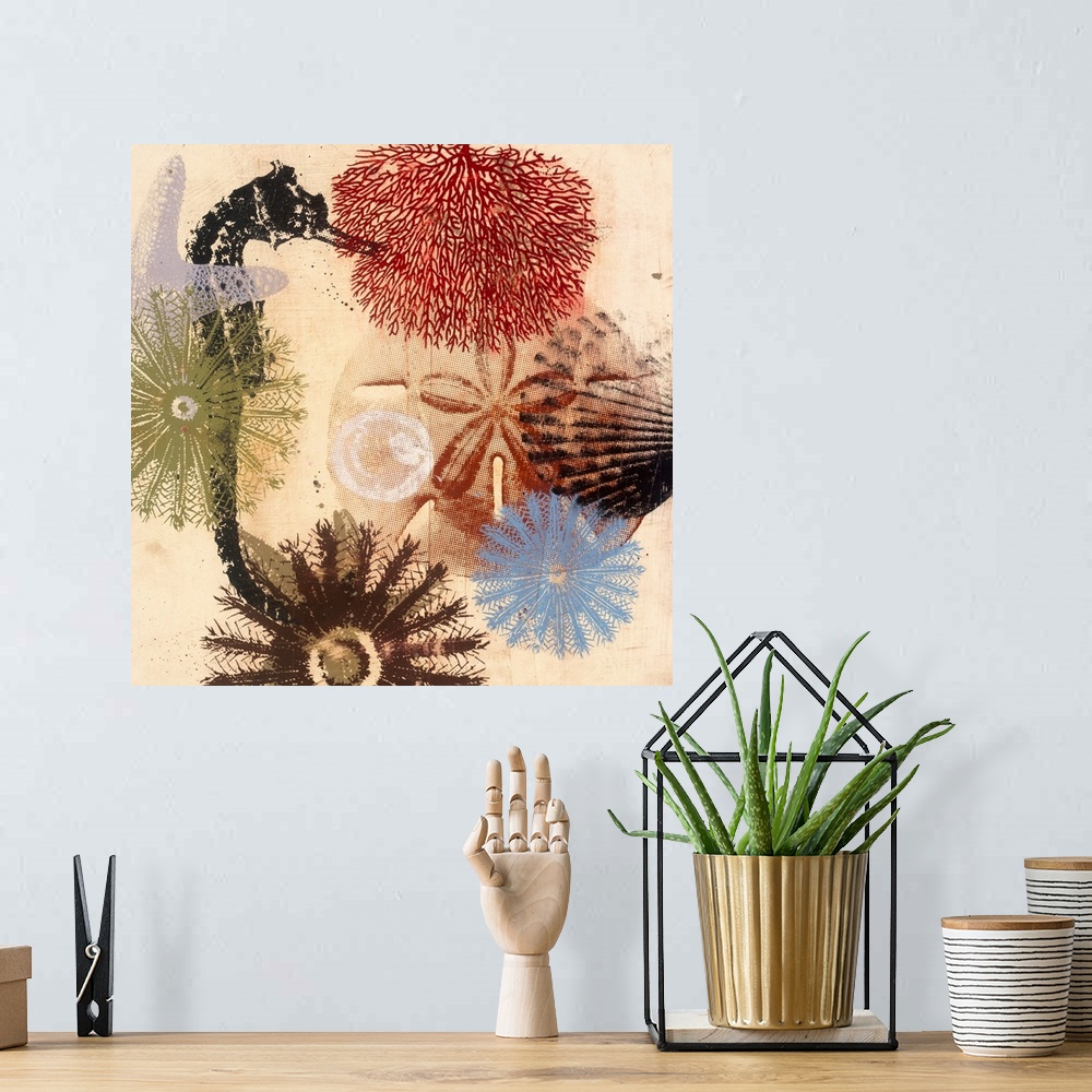 A bohemian room featuring Sealife D