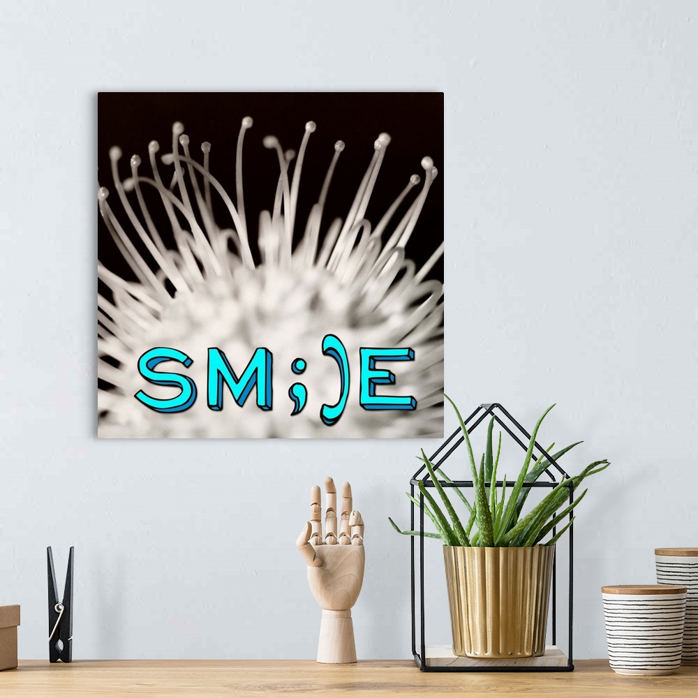 A bohemian room featuring Smile