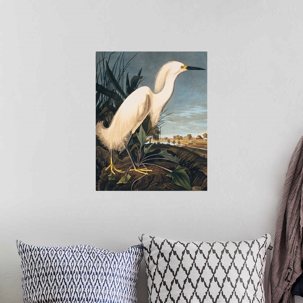 A bohemian room featuring Snowy Heron or White Egret