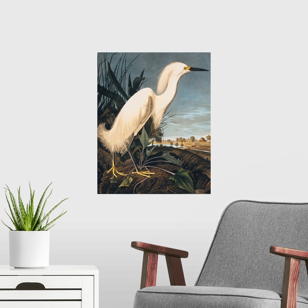 A modern room featuring Snowy Heron or White Egret