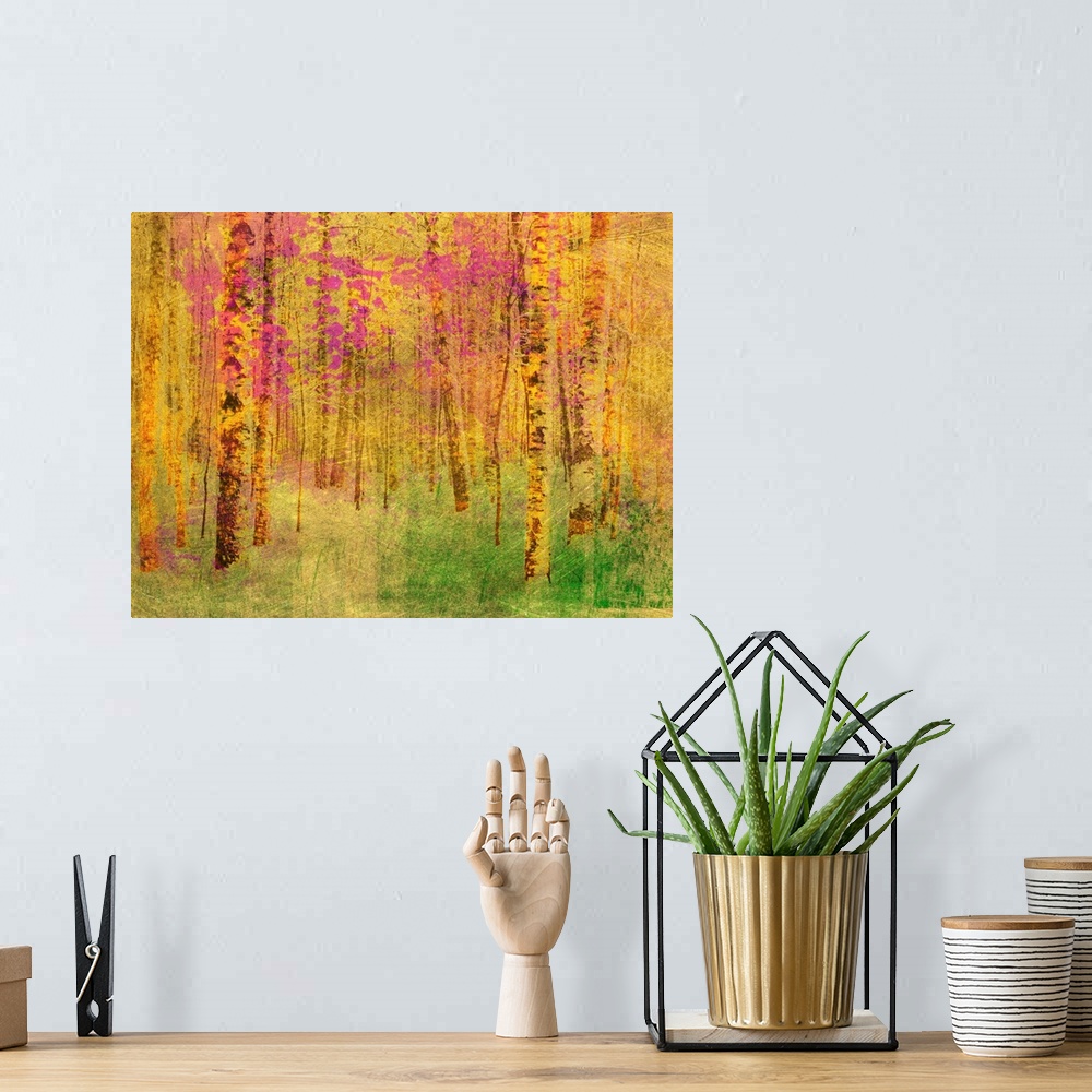 A bohemian room featuring Spring Birch Trees