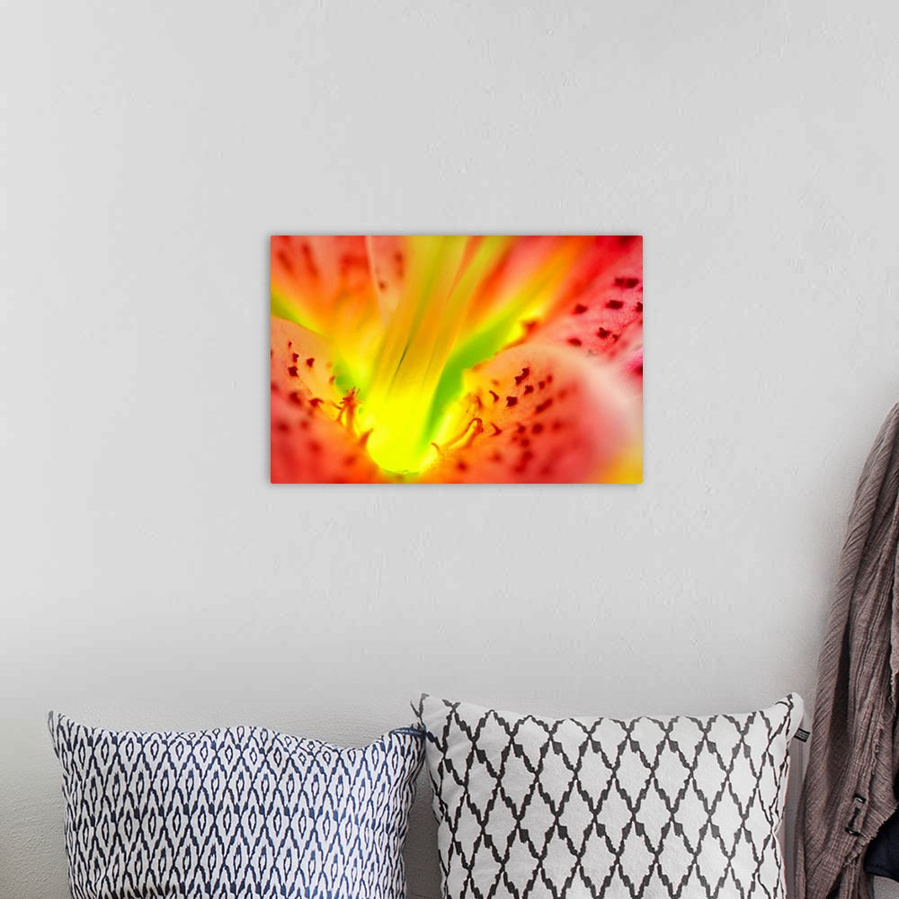 A bohemian room featuring Large, close up landscape photograph of the inside, center and  petals of a star gazer lily flower.