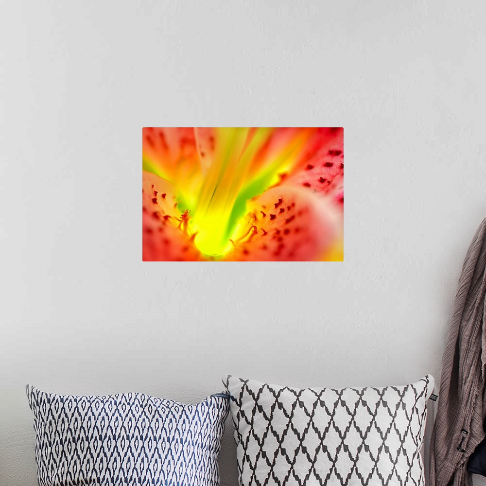 A bohemian room featuring Large, close up landscape photograph of the inside, center and  petals of a star gazer lily flower.