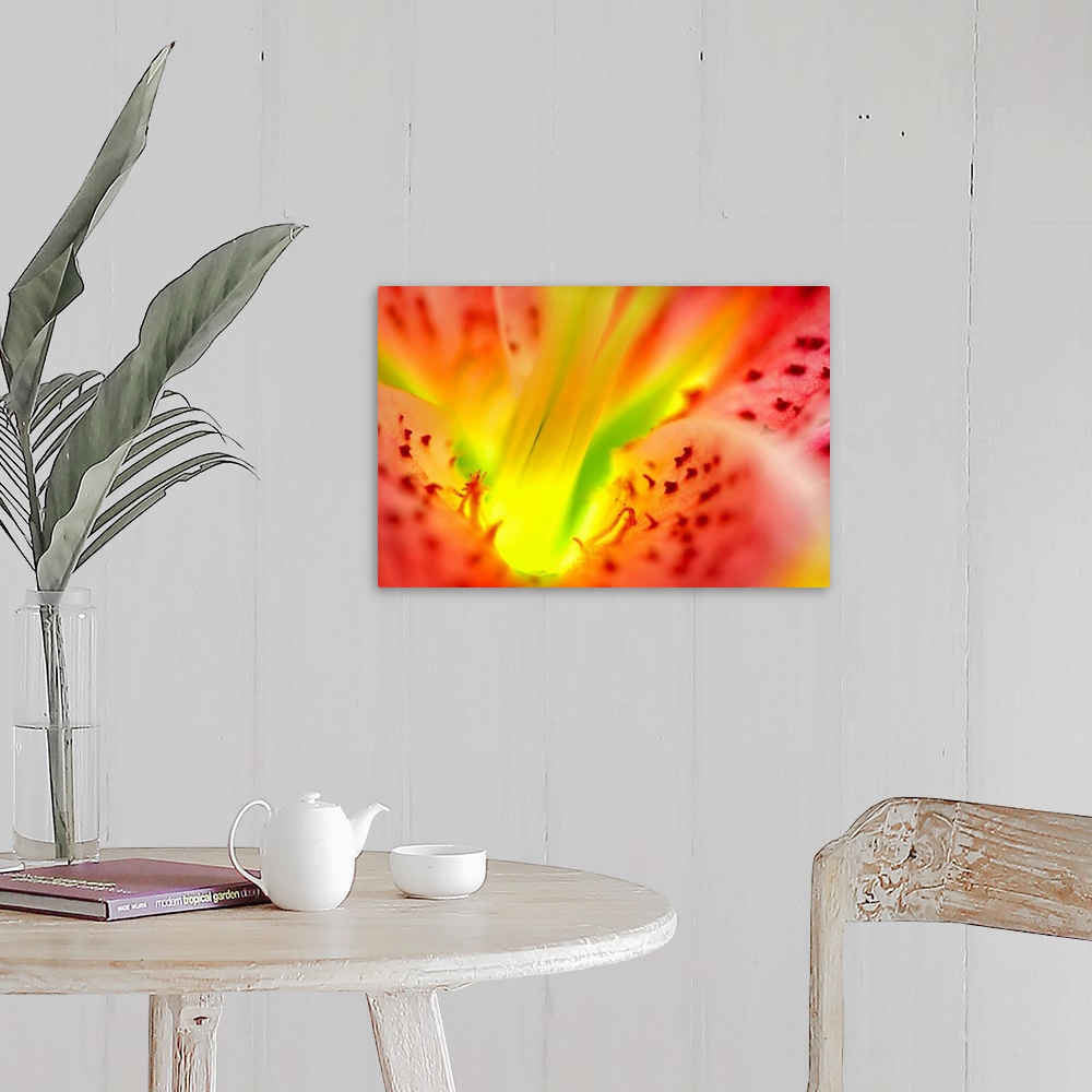 A farmhouse room featuring Large, close up landscape photograph of the inside, center and  petals of a star gazer lily flower.