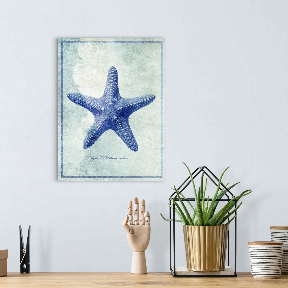 A bohemian room featuring Starfish II