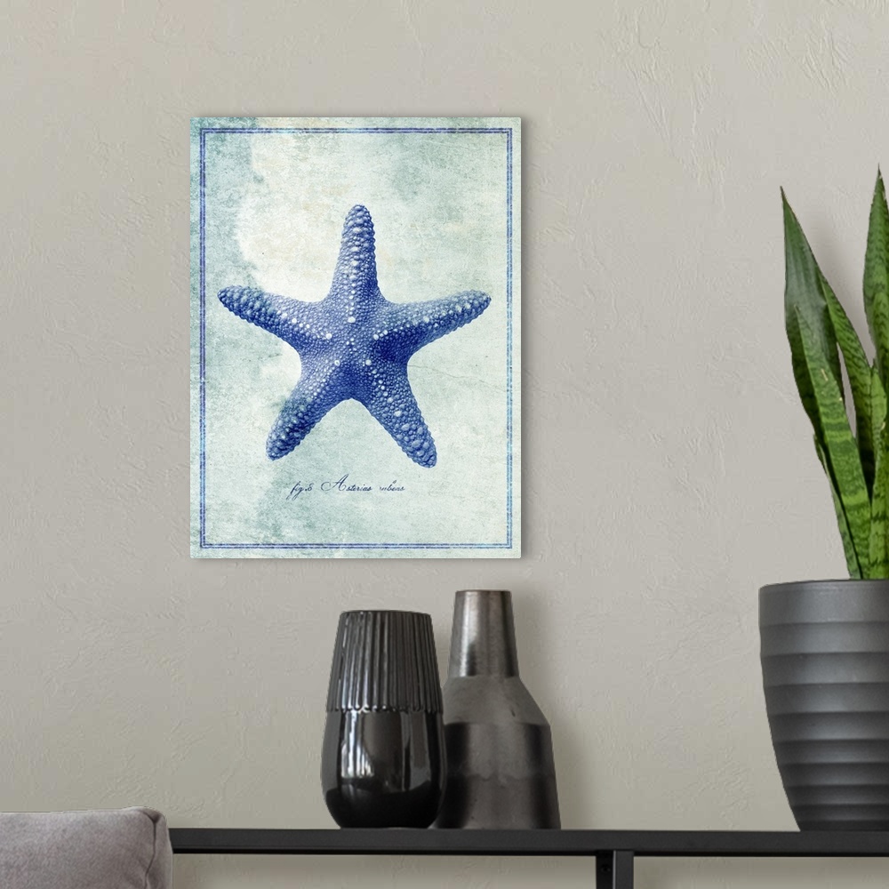 A modern room featuring Starfish II