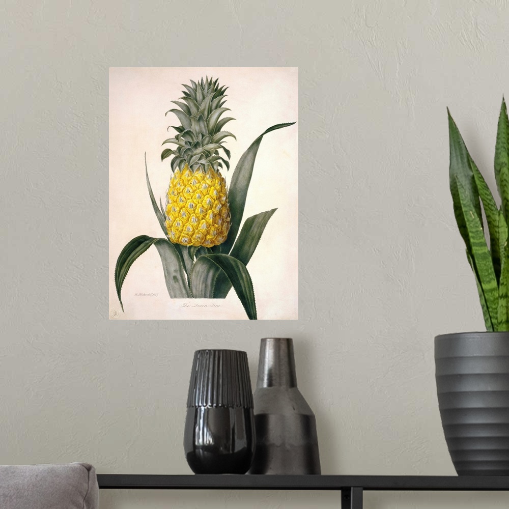 A modern room featuring The Queen Pineapple