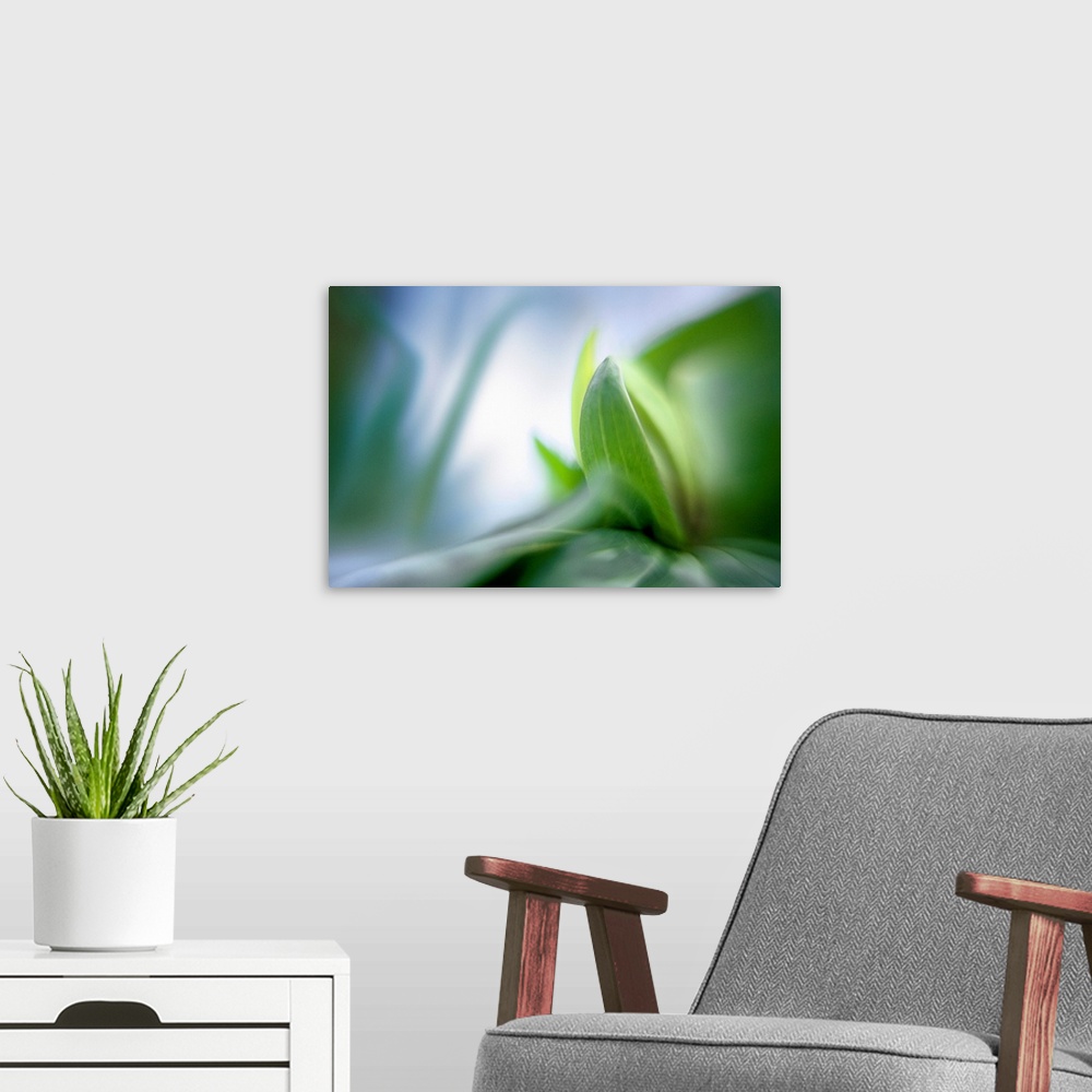 A modern room featuring Vegetation is photographed closely with only a small part kept in focus and everything surroundin...