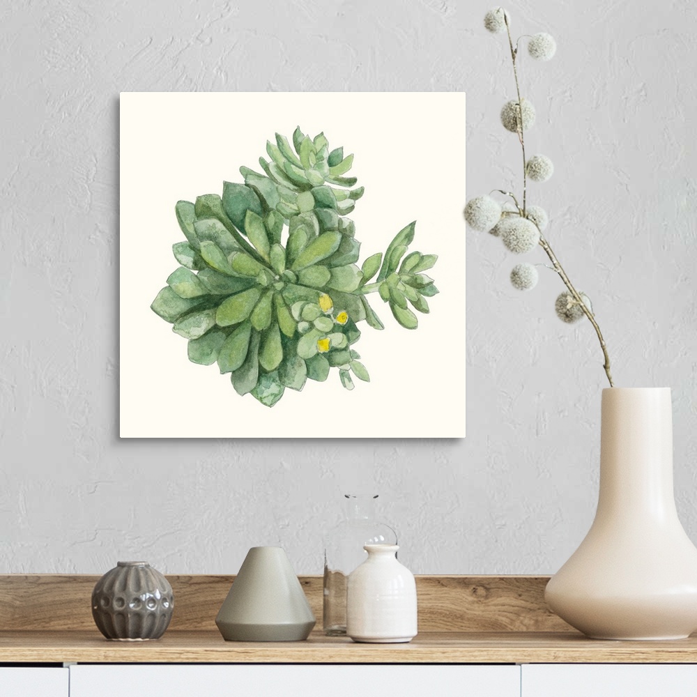A farmhouse room featuring Square painting of a succulent with yellow blossoms on an off white background.