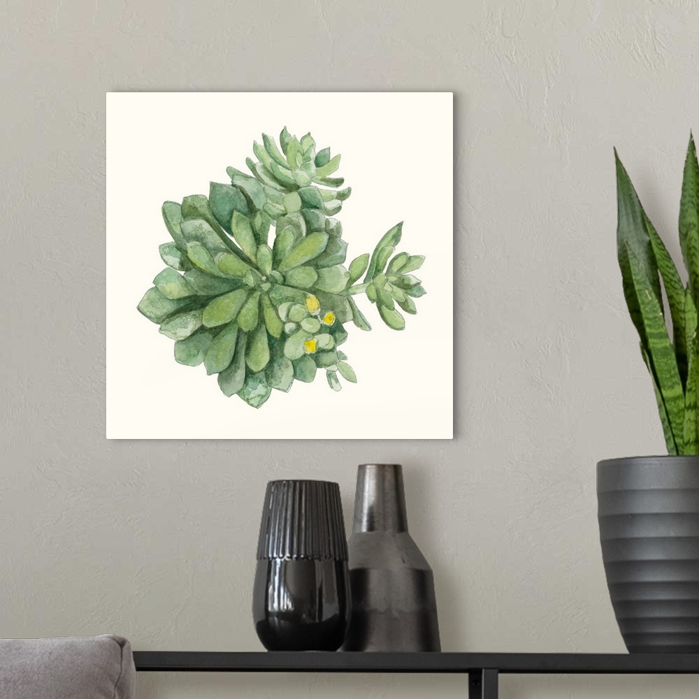 A modern room featuring Square painting of a succulent with yellow blossoms on an off white background.