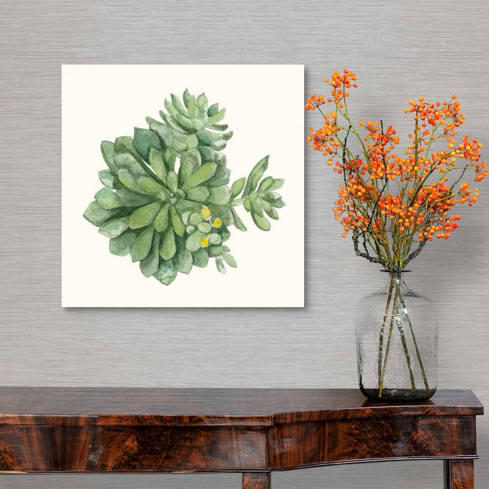 A traditional room featuring Square painting of a succulent with yellow blossoms on an off white background.