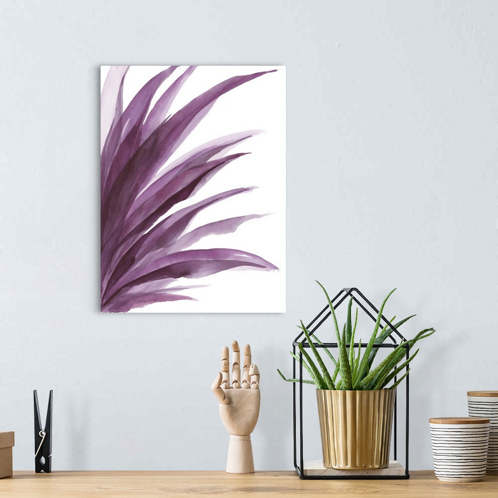 A bohemian room featuring Violet Palms 3