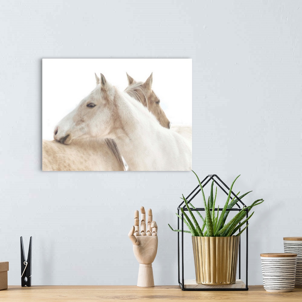 A bohemian room featuring White Horse mendon