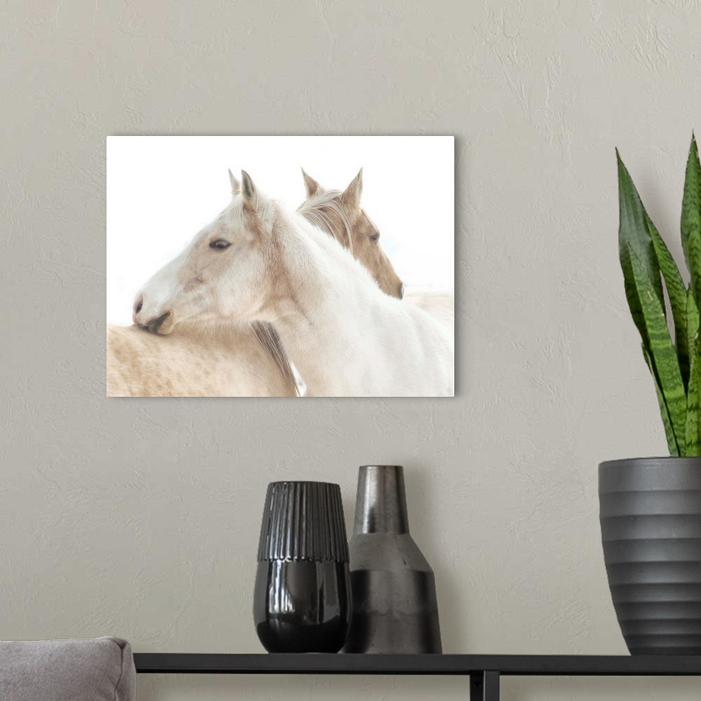 A modern room featuring White Horse mendon