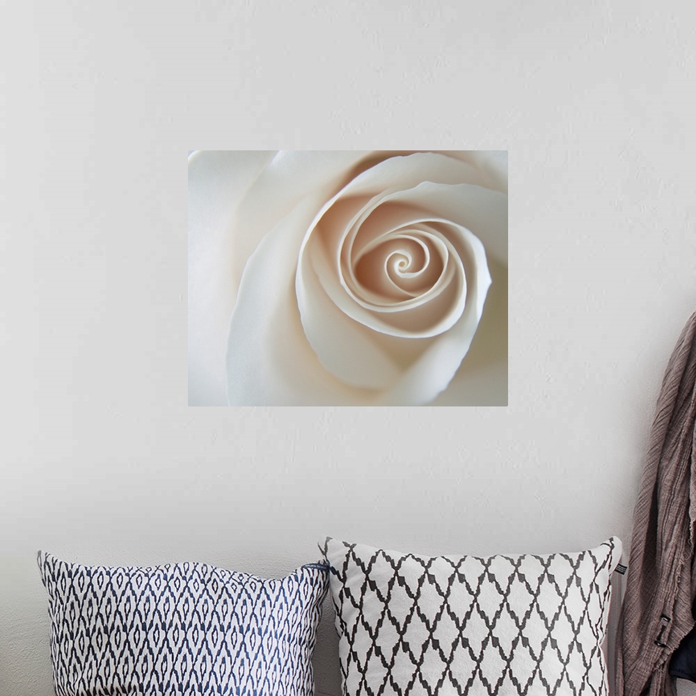A bohemian room featuring White Rose Swirl