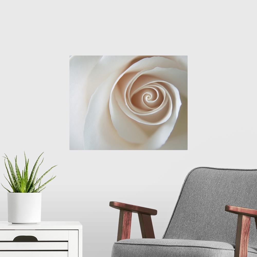 A modern room featuring White Rose Swirl