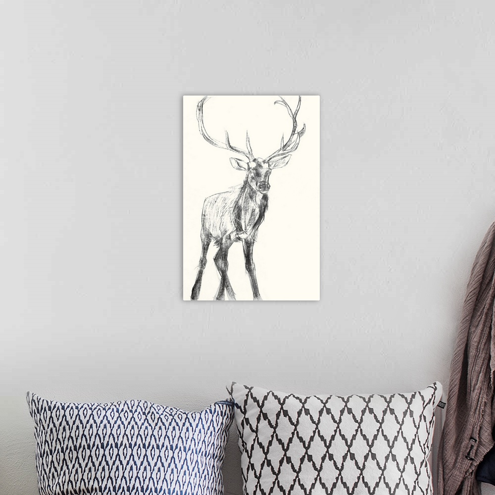 A bohemian room featuring Young Elk