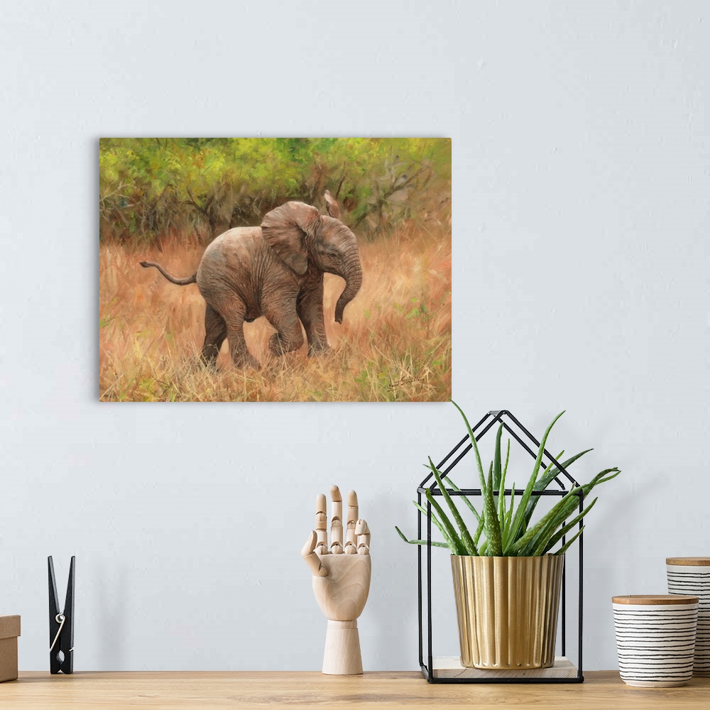 A bohemian room featuring Baby African Elephant