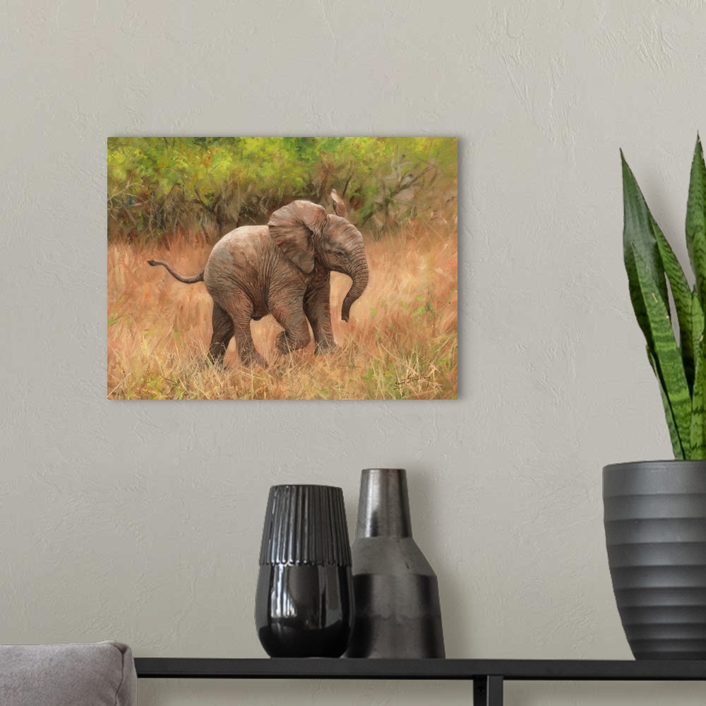 A modern room featuring Baby African Elephant