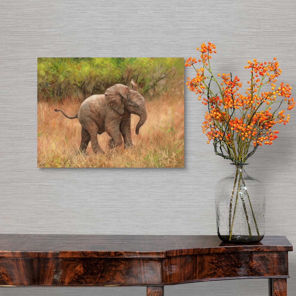 A traditional room featuring Baby African Elephant