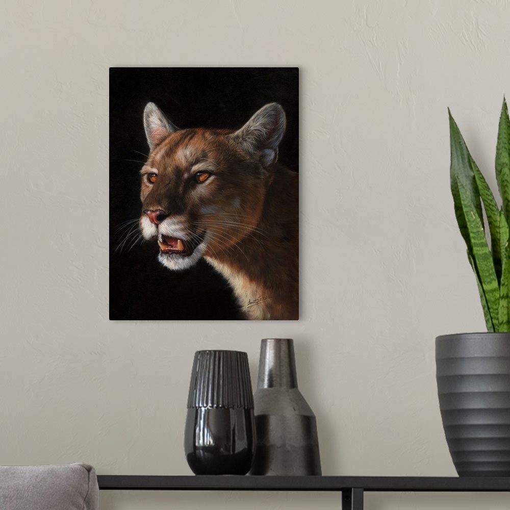 A modern room featuring Cougar