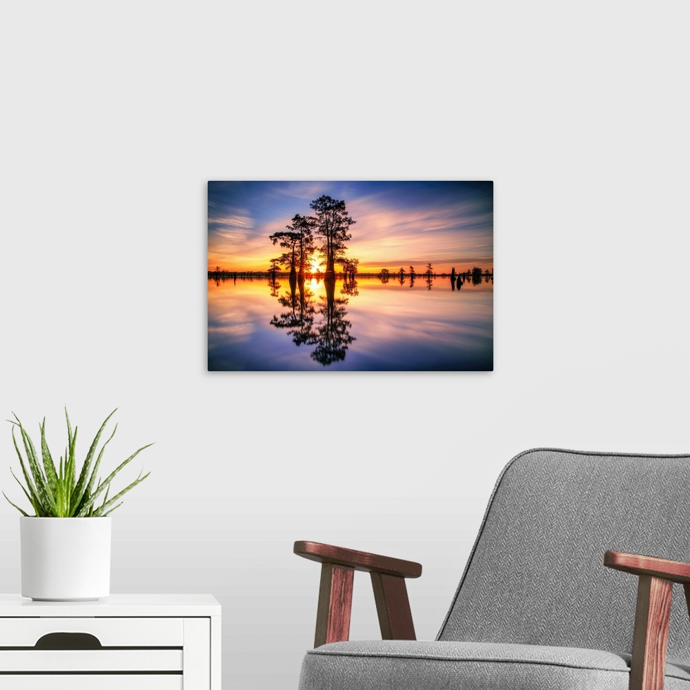A modern room featuring The sun tops the horizon and lights up the sky over Louisiana's beautiful Henderson Swamp.