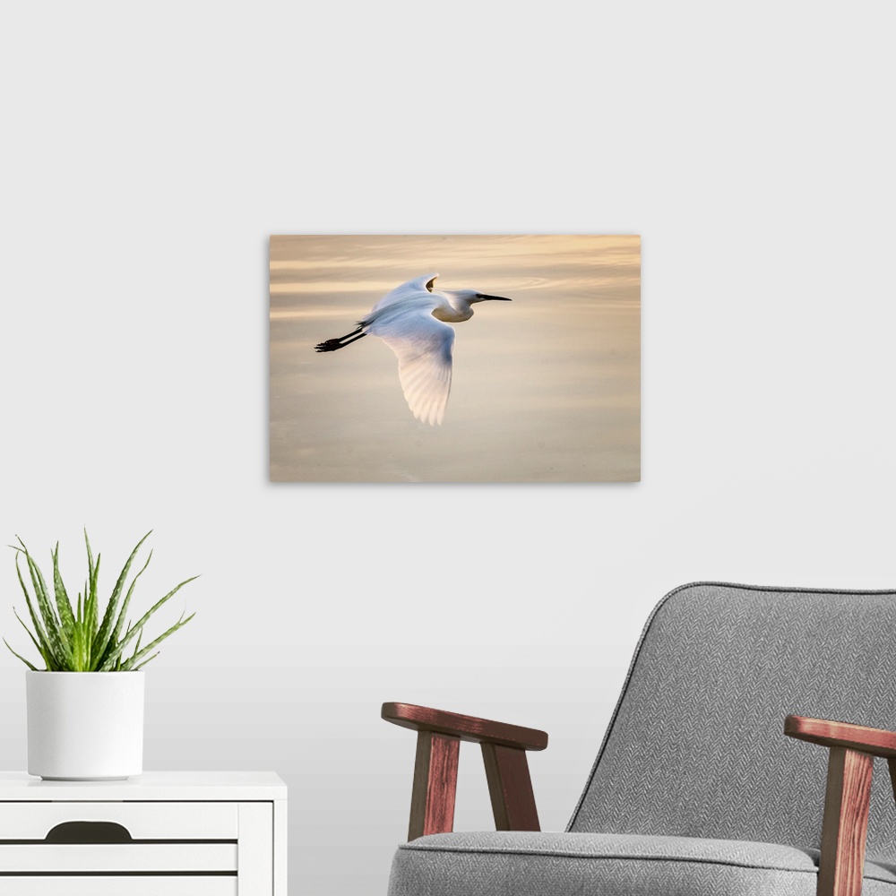 A modern room featuring Egret Over Chapala