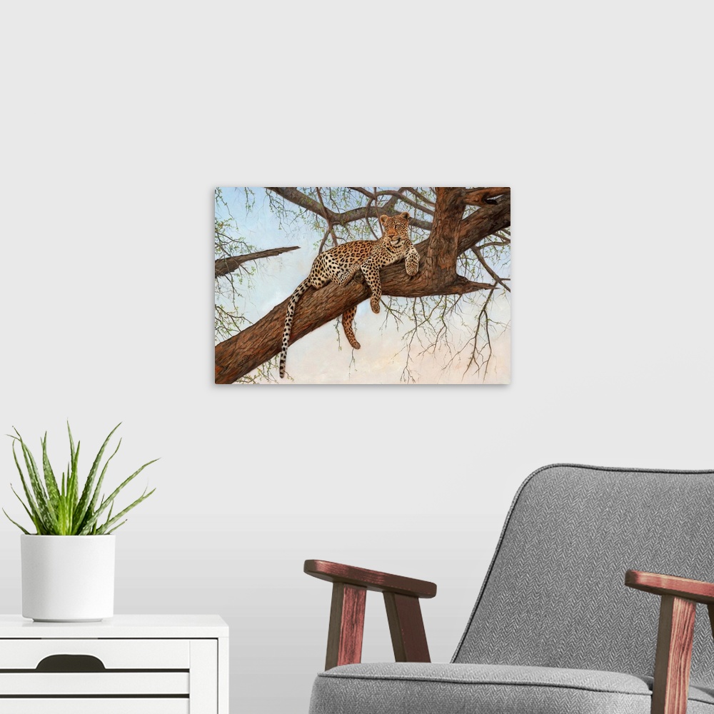 A modern room featuring Leopard In Tree