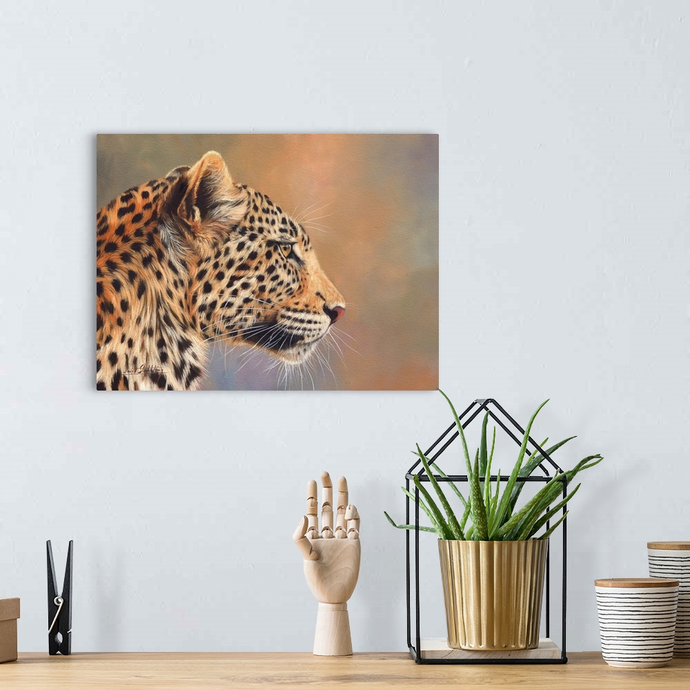 A bohemian room featuring Leopard Profile