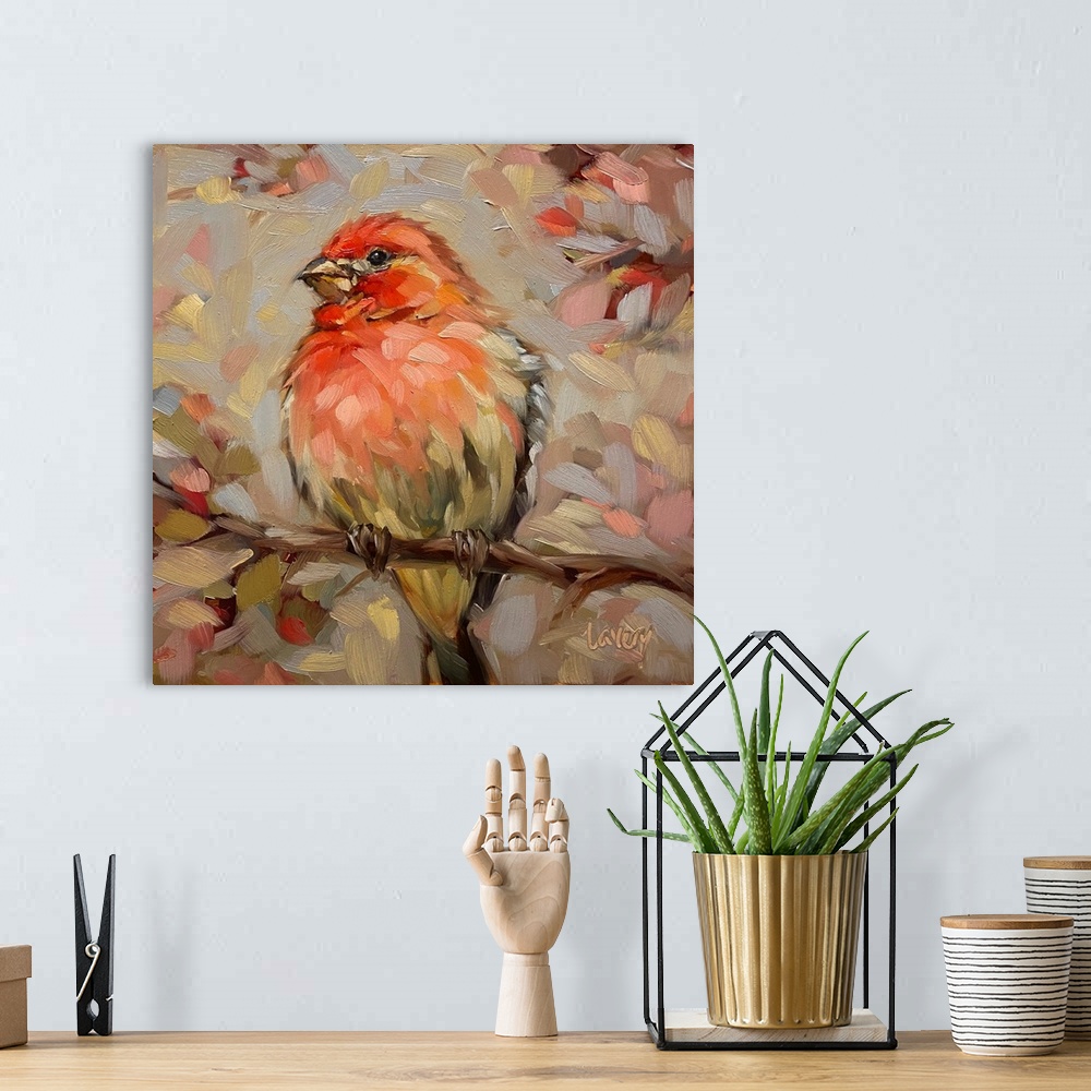 A bohemian room featuring Lovely House Finch