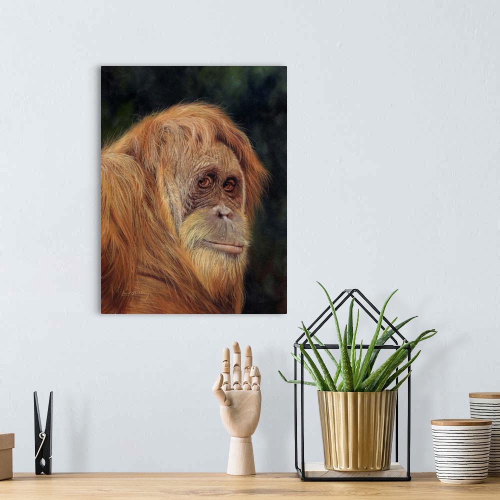A bohemian room featuring Orangutan