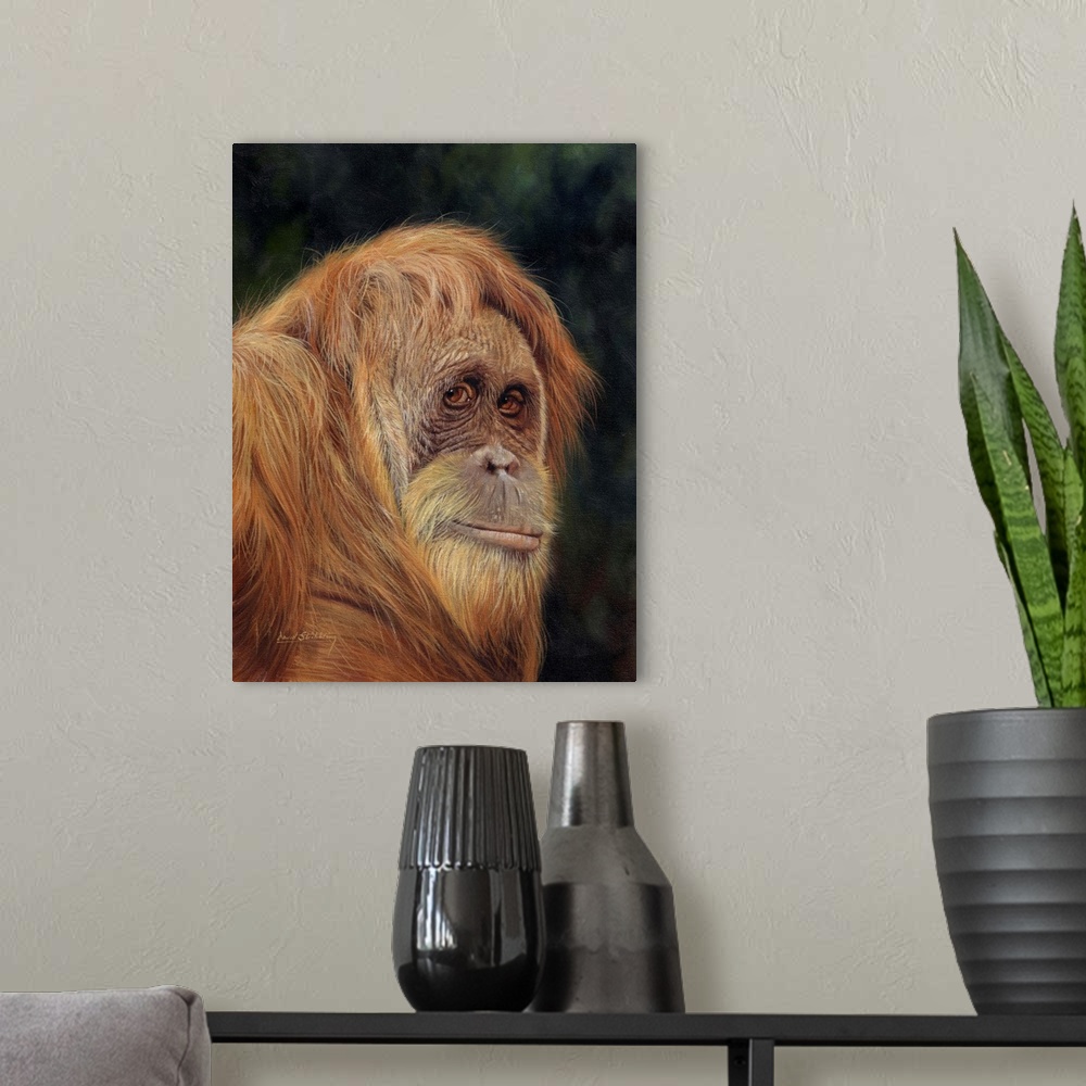 A modern room featuring Orangutan