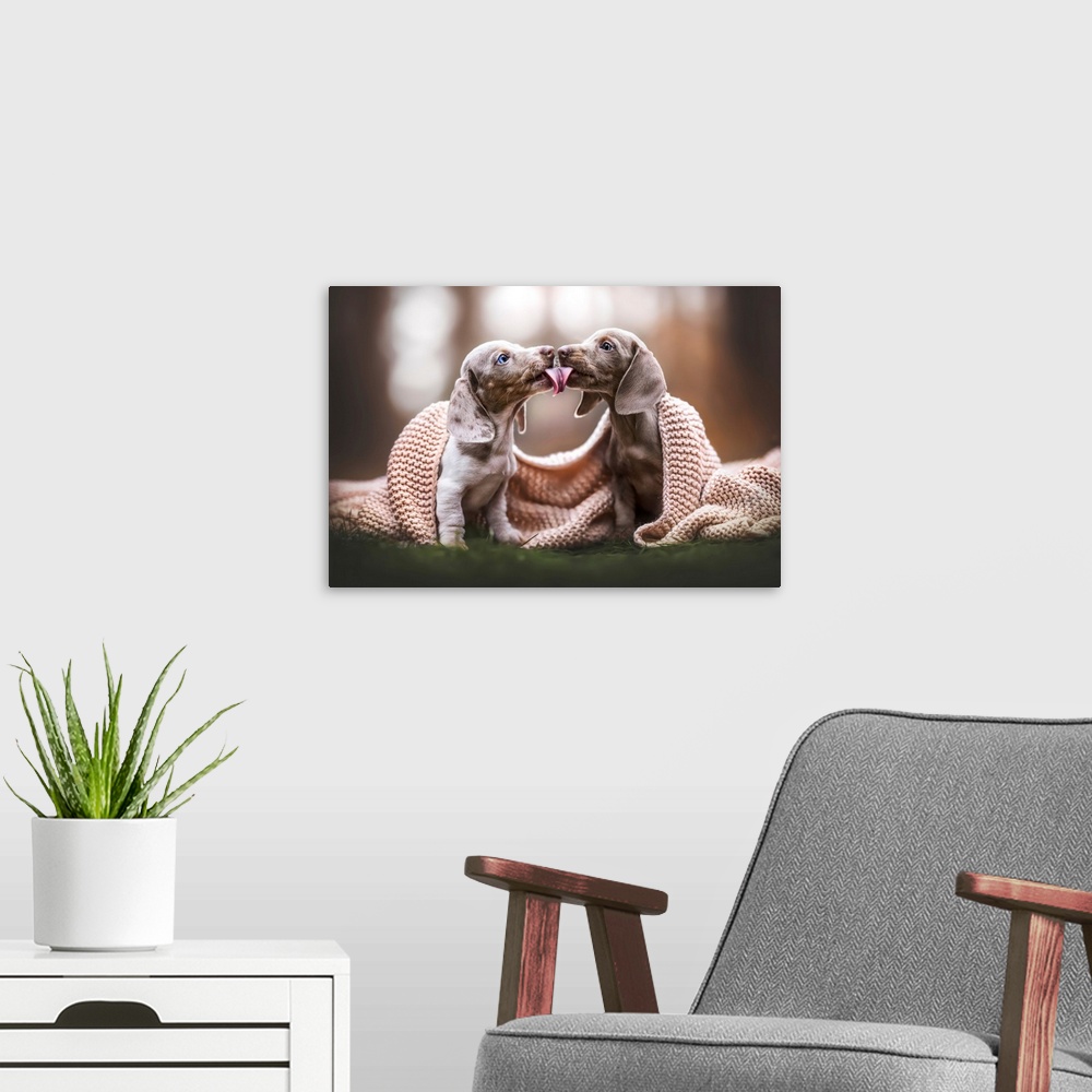 A modern room featuring Puppy Love