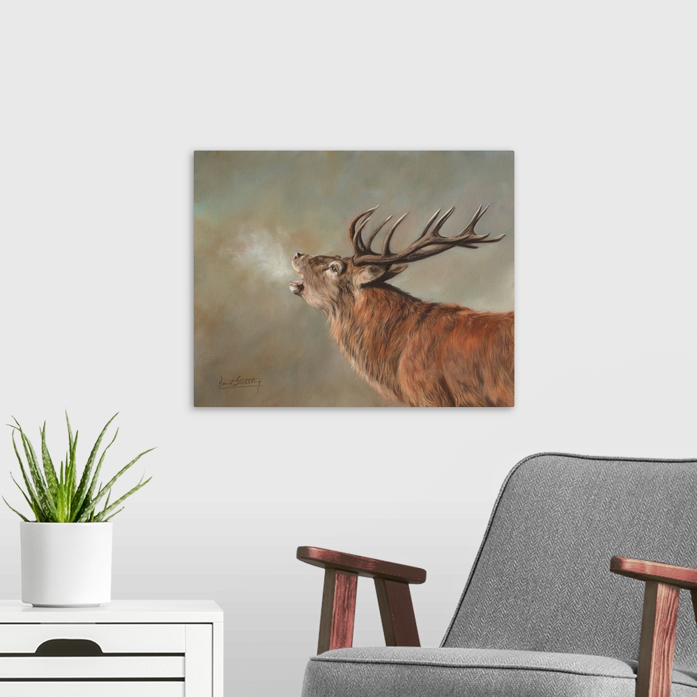 A modern room featuring Red Deer Stag