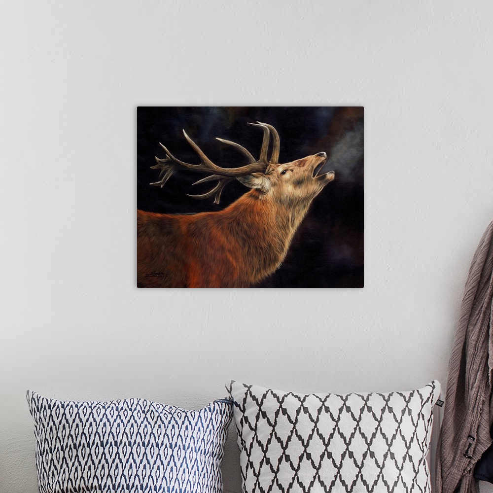 A bohemian room featuring Red Deer Stag Winter Breath