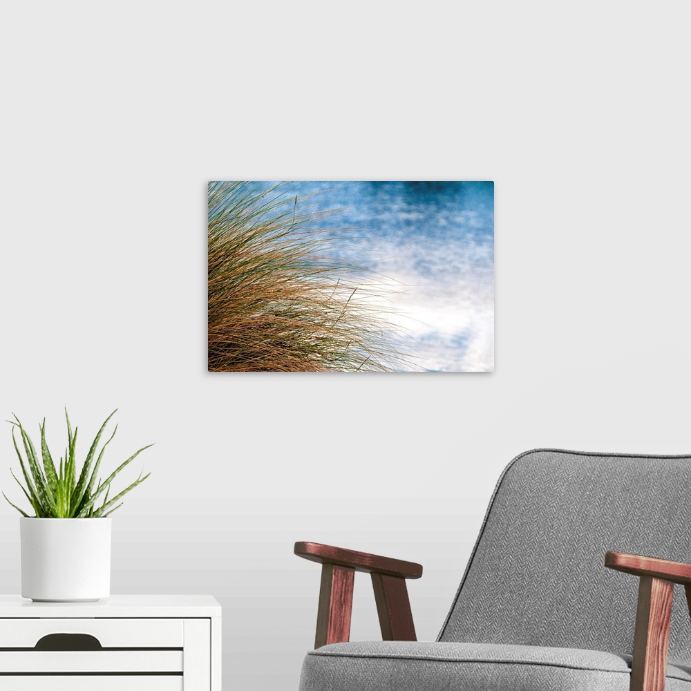 A modern room featuring Sea Oats Blowing