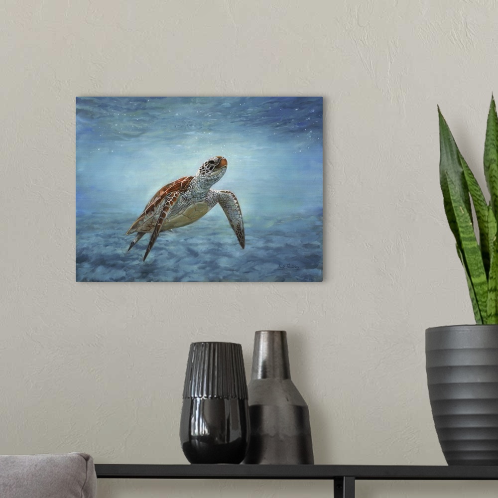 A modern room featuring Sea turtle. Aquatic wildlife. Originally oil on canvas.