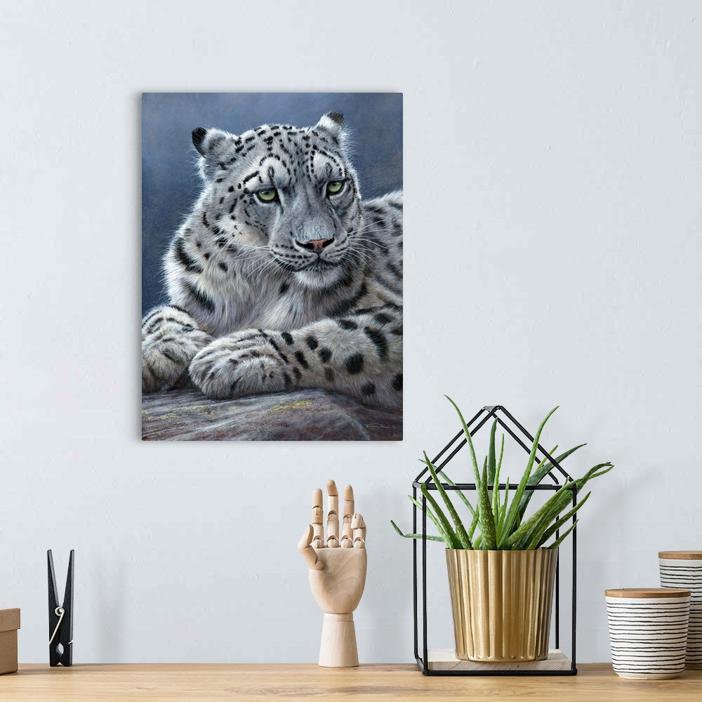 A bohemian room featuring Snow Leopard