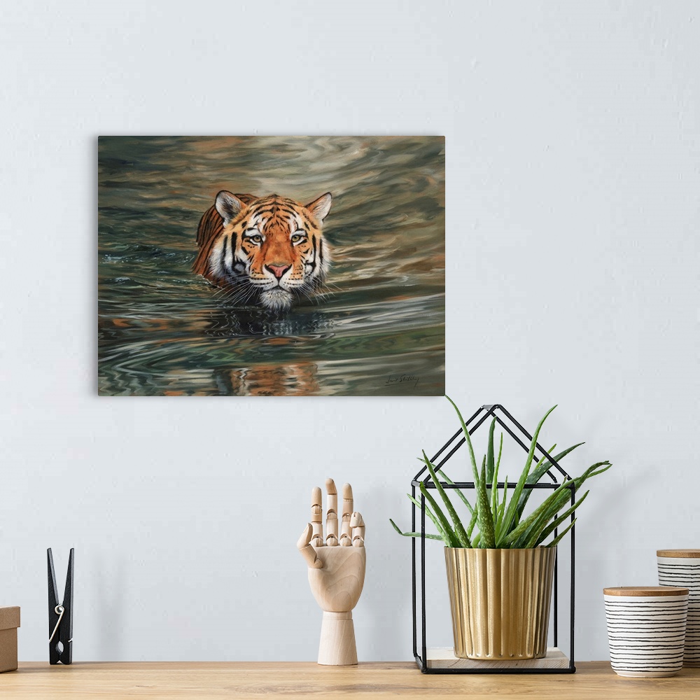 A bohemian room featuring Tiger Water Swimming