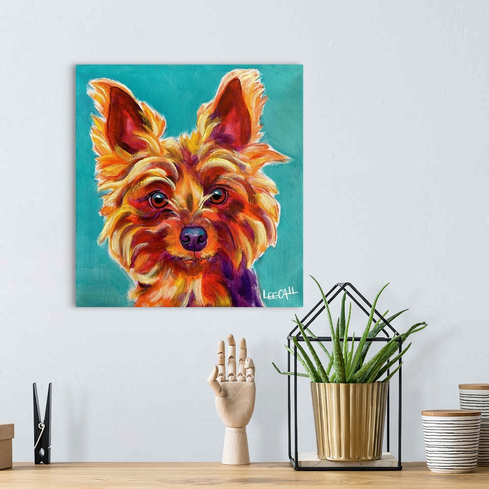 A bohemian room featuring Yorkie - Snookie