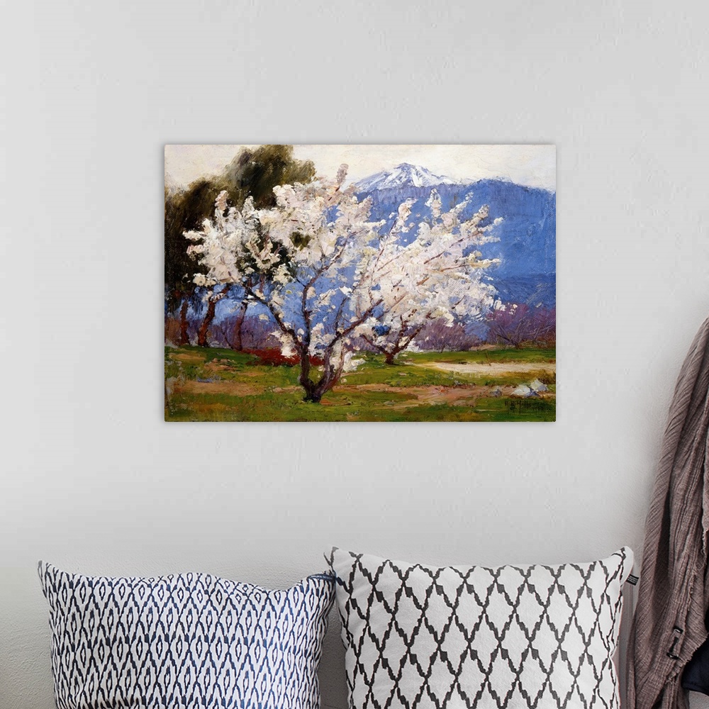 A bohemian room featuring Almond Blossoms Near Banning