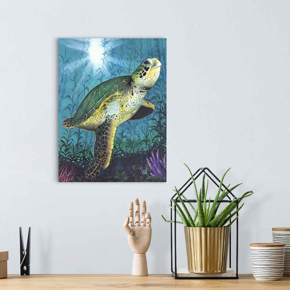 A bohemian room featuring Turtle
