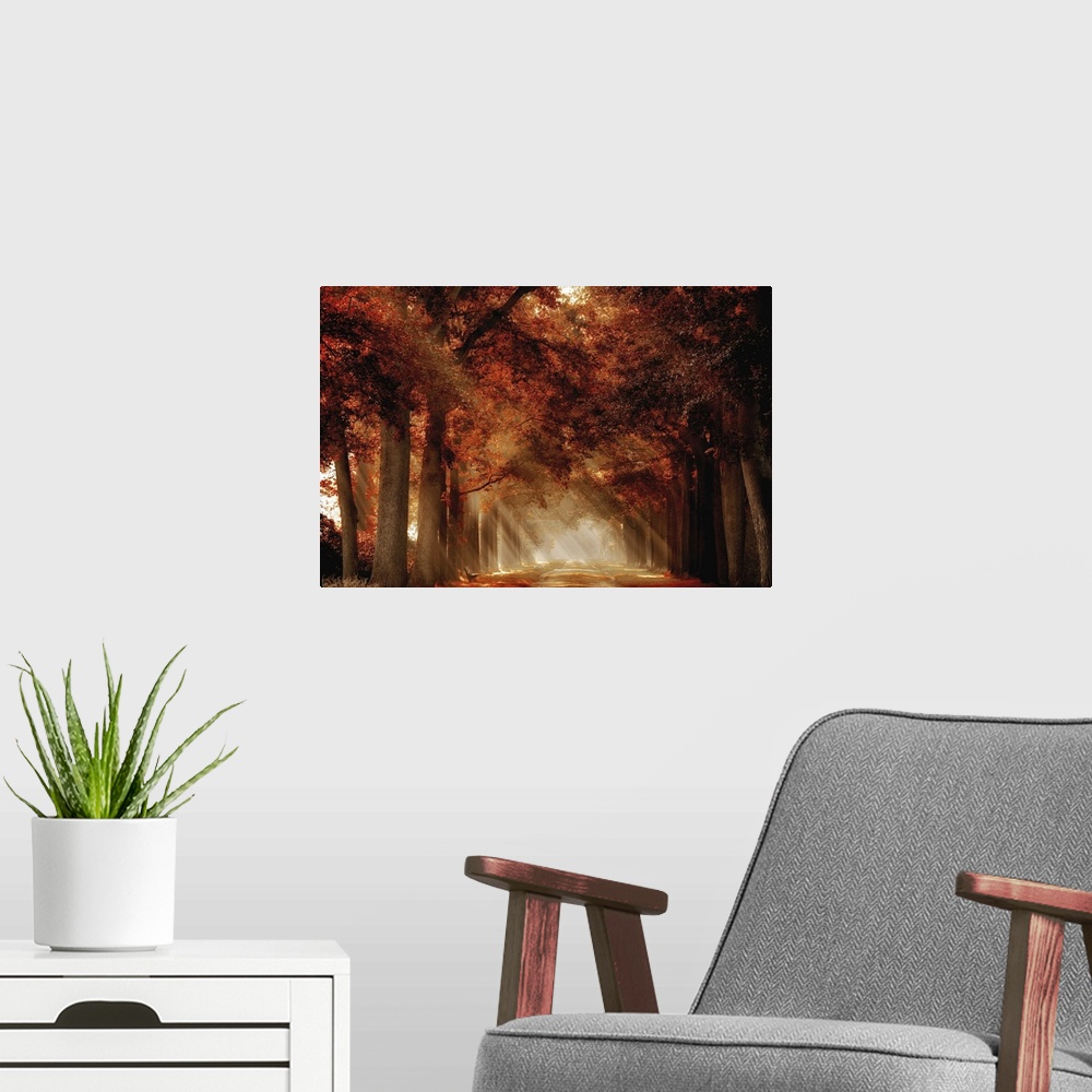 A modern room featuring A photograph looking down a foggy tree lined road in autumn foliage.