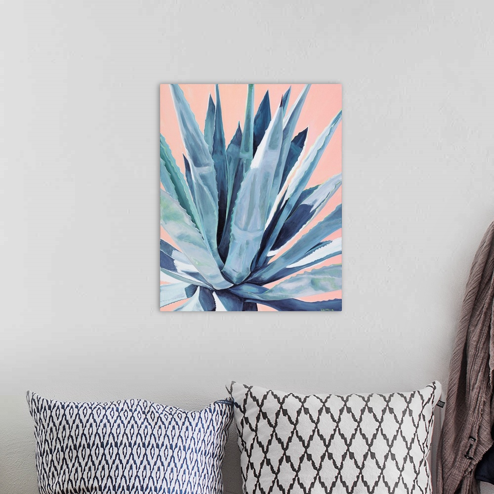 A bohemian room featuring Agave with Coral