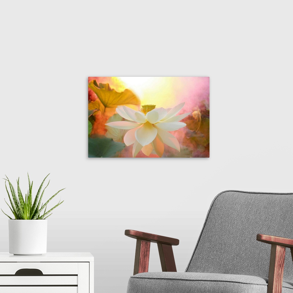 A modern room featuring A soft pastel colored photograph of a white flower.