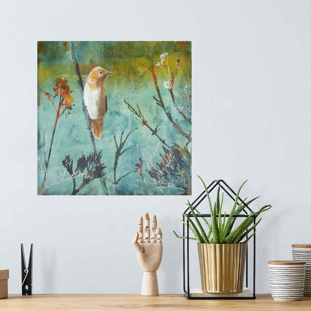 A bohemian room featuring Australian Reed Warbler
