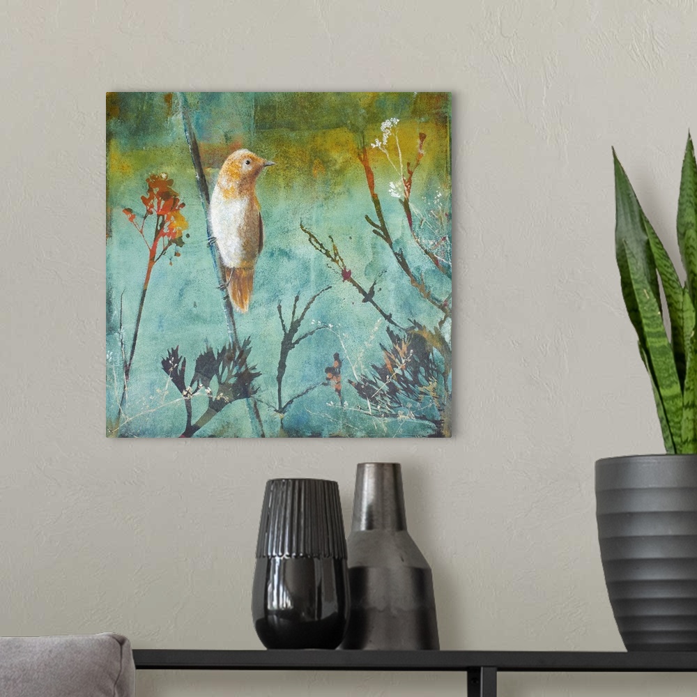 A modern room featuring Australian Reed Warbler